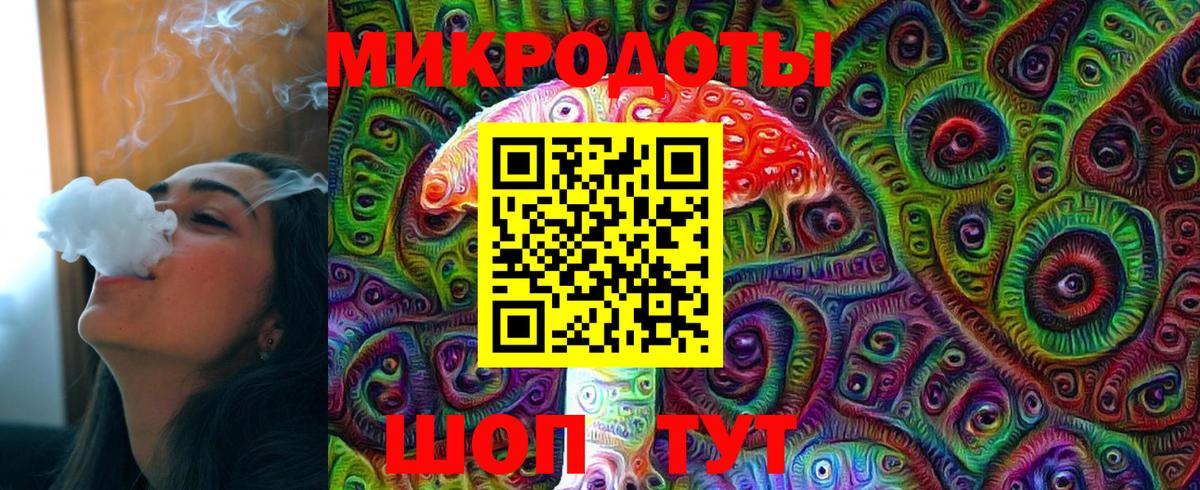 Галлюциногенные грибы Psilocybine cubensis Лабинск